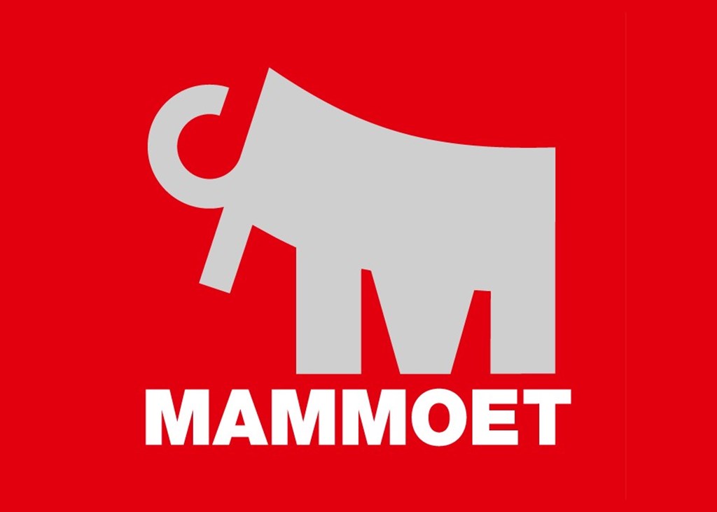 Mammoet provides solutions to any heavy lifting or transport challenge